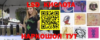 дурь Берёзовский