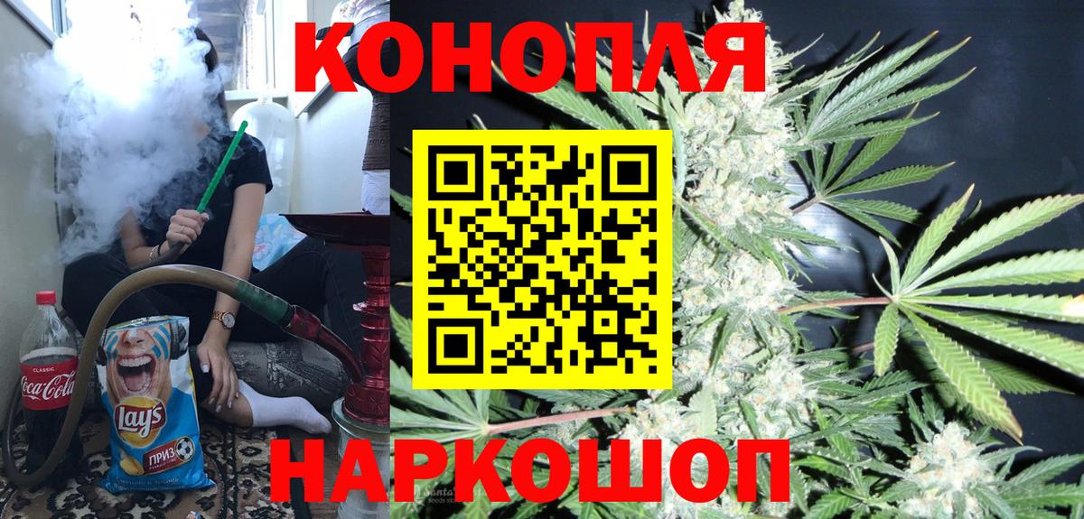 Канабис планчик Карачаевск